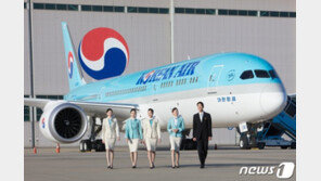승객없는 대한항공 여객기 화물 늘린다…국토부 “개조작업 승인”