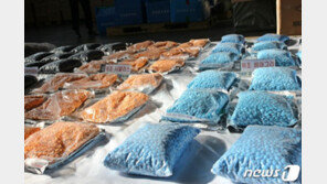 8000여만원어치 가짜 비아그라 등 밀수 일당 징역형