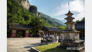 조계종 “16일까지 모든 법회·템플스테이·소모임 중단”