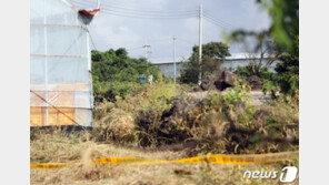 ‘제주 호박밭 살인’ 피의자 “돈이 필요했고 혼자 걷는 그녀가 보였다”