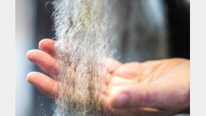 피엘라벤, 재생 울 사용 칸켄리울 등 2020 가을/겨울 신제품 컬렉션 출시