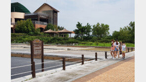 마스크 쓰고 산책