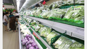 8월 소비자물가 0.7%↑…집중호우에 채소류 급등