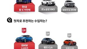 케이카, 카니발·디스커버리 스포츠 최고의 패밀리카 추전