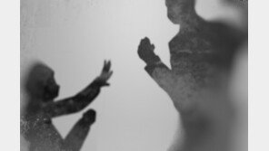 강남 한복판서 모르는 여성 정신 잃을때까지 폭행…20대男 구속 