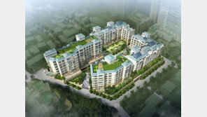 청담·삼성·서초·압구정…강남 고가 아파트 줄줄이 경매로