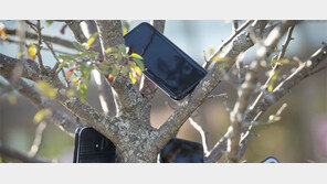 배달 한 건이라도 더 잡으려고… 아마존 물류센터 앞 ‘스마트폰 나무’