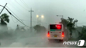 [날씨]3일 ‘마이삭’ 영향 거센 비바람…서울·경기 시간당 50㎜