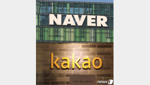 “넷플릭스 잡는다더니”…네이버·카카오 잡는 넷플릭스법?