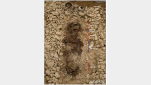 금동관·반지·금동신발까지 착장 그대로…1500년전 170cm 그 사람은 누구였을까