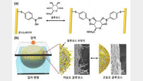 피뽑는 바늘 없이…‘침·땀·눈물’로 혈당 잰다