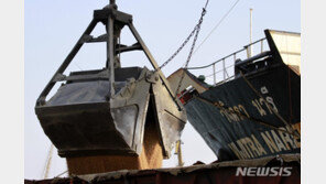 통일부 “대북 쌀 지원 연내 진행 안 되면 WFP 사업비 환수”