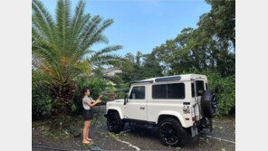 ‘제주댁’ 진재영, 태풍 마이삭 피해 “나무 부러지고 쑥대밭…복구 작업”