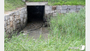 RFA “월북한 20대 탈북자, 김정은에게 용서받았다” 보도