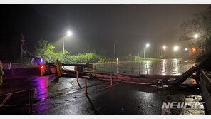 태풍 ‘마이삭’으로 29만가구 정전…한전 “93% 복구”