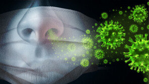 자가격리 어기고 모친 식당 간 20대 입국자, 벌금 250만원