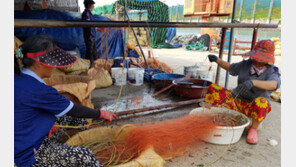 꽃게 만선을 희망하며…