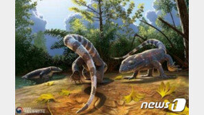 울주 암각화 주변서 발견 발자국 주인은 중생대 파충류 ‘코리스토데라’