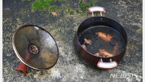 경보 듣자마자 신고한 이웃, 주택 화재 큰 피해 막아