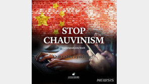 반크, 이효리 보호…“中 네티즌 사이버폭력 반대” 캠페인