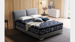 씰리침대, 창립 139주년 기념 스페셜 에디션 출시 & 소비자 캠페인 개최