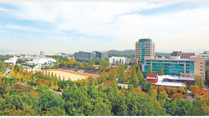 수원대학교, 인문-자연계열 교차지원 가능