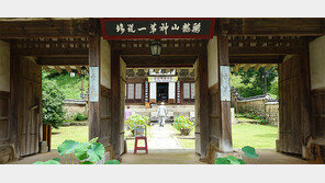 세상 시름 내던지고 ‘계룡정토’ 들어가볼까