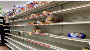 [책의 향기]코로나 감염된 우리에겐 해열제 밖에 없었다