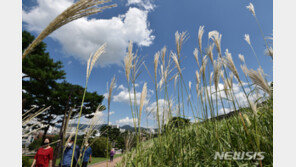 [날씨]‘가을성큼’ 선선한 아침…경상·제주엔 비소식