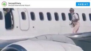 우크라이나 여성, 비행기 날개 위 걷다 평생 탑승 금지