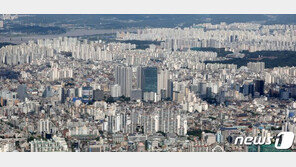 사실혼 출산 자녀도 신혼특공 1순위…악용소지 ‘재혼 전 자녀’는 미적용