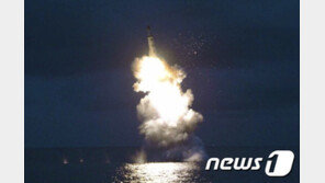 CSIS “北 신포조선소서 SLBM 시험발사 움직임 포착”…美 대선 겨냥?