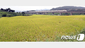 코로나로 언택트 추석? “그래도 명절인데…눈치보여” 의견분분