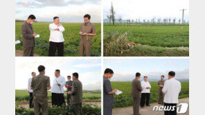 김정은, ‘태풍 피해’에 현지 회의 소집하고 평양 당원 급파