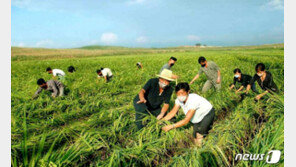 북한, 제10호 태풍 ‘하이선’ 예보…피해 대책 수립 촉구