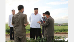 김정은, ‘태풍’에 책임자 처벌·평양 당원 급파…광폭 대민 행보