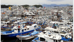 [휴일 한 컷]태풍 북상 중… 파도 피할 준비