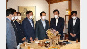 이낙연 “추석 이동 자제를”…김태년 “개천절 집회, 반사회적 행위”