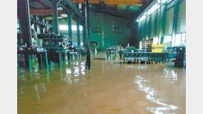 “피해 복구 비용 농림·축산 시설에만 준다니…” 소상공인·중소기업 ‘불만’