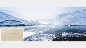 청바지 빨때 나오는 미세섬유… 수만km 밖 북극까지 흘러간다 