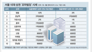  “2~3% 수익이라도 좋다” 투자자들, 규제 덜한 꼬마빌딩으로