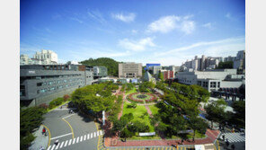 학생부우수자 늘리고 논술전형 축소… 당구-볼링-펜싱 우수인재도 뽑아