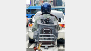 안전거리 지켜주세요[고양이 눈]