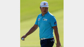 임성재, 1위 존슨 1타차 추격