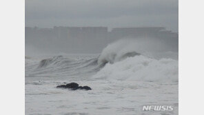 ‘하이선 북상’ 日규슈 184만명 피난 지시…29만가구 정전