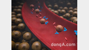 GC녹십자셀, CAR-T 치료제 미국 임상 본격화… 현지법인에 50억원 출자