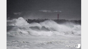 하이선 가면 태풍 노을, 한반도에 또?…생성 전부터 우려↑