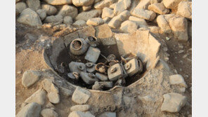 1500년 전 신라 왕족, 제사 음식으로 돌고래도 올렸다