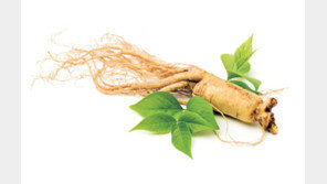 인삼, 피부 안티에이징에 효과