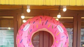 개점휴업[고양이 눈]